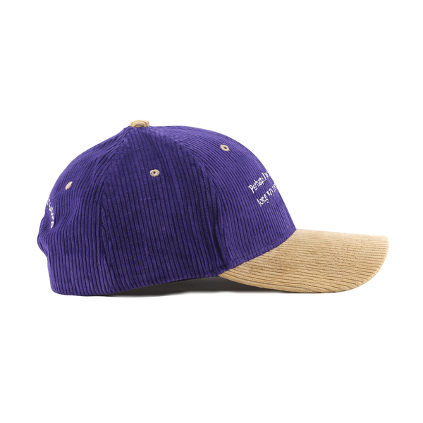 Self-Contemplation Colourblocked Corduroy Cap
